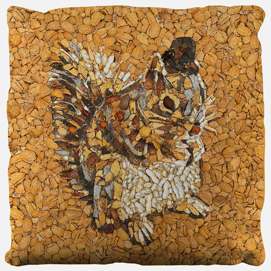 Sonja Morgan / Squirrel Pillow