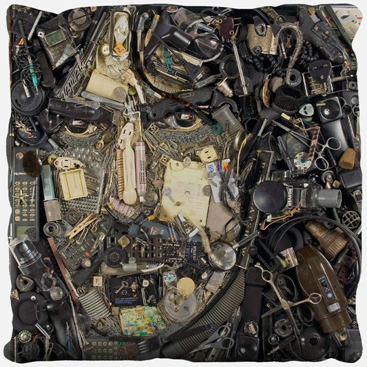Frank Zappa Pillow