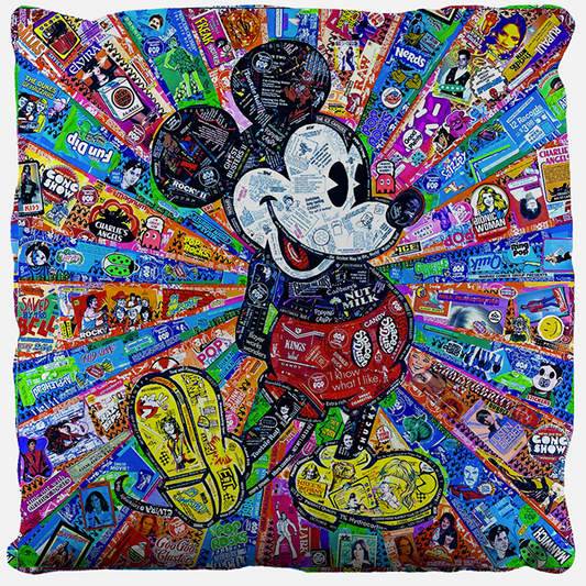Mickey Mouse / Big Bird Pillow