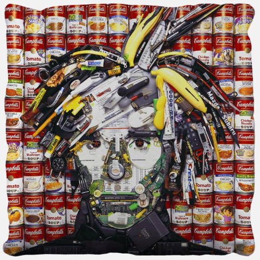 Andy Warhol Pillow